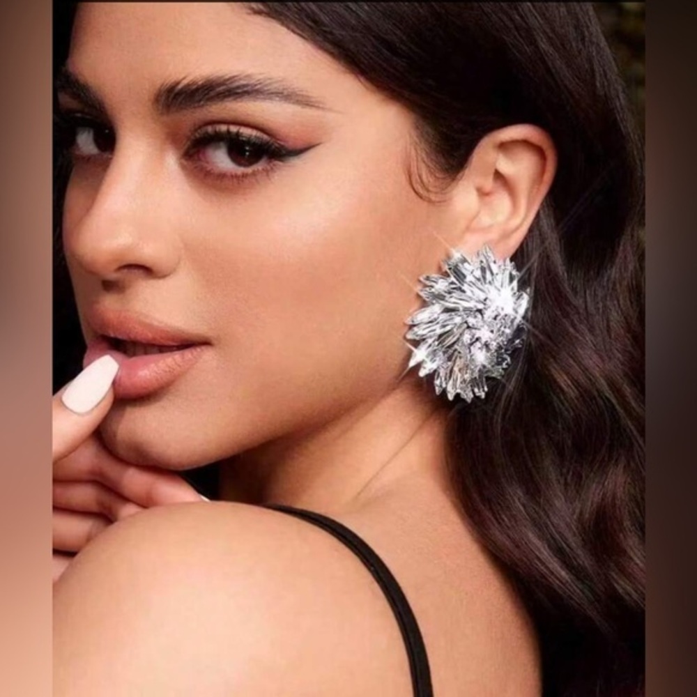 ✨NEW Elegant Silver Floral Earrings
